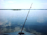 ベラルーシの夏・釣り（１）