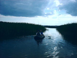 ベラルーシの夏・釣り（４）